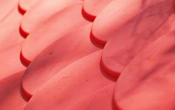 Bualintur plastic roof costs