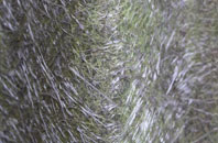 Bualintur fibreglass roof work